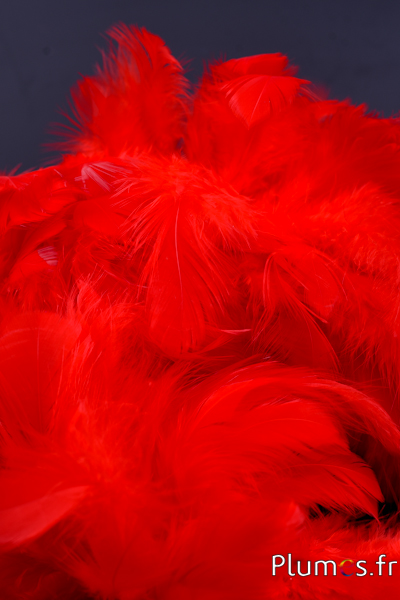 Hen -  5-9 cm - rood